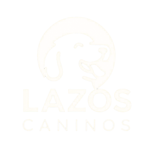 Producto Digitales LATAM